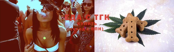 индика Абаза