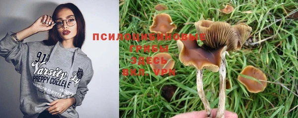 прущий лед Нефтегорск