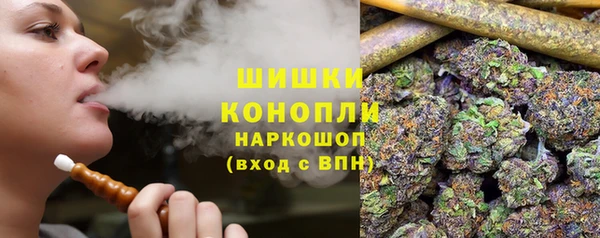 индика Абаза