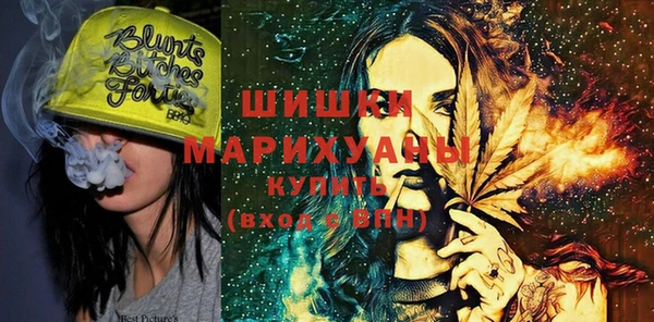 индика Абаза