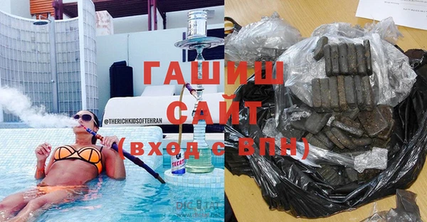 индика Абаза