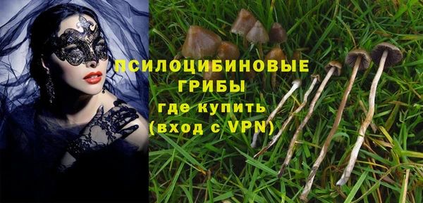 mdpv Нея